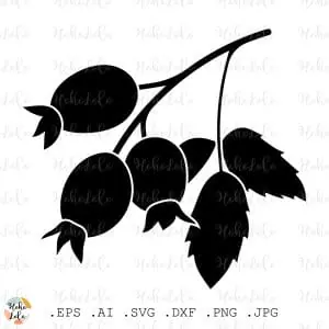 Rosehip Svg Cricut Silhouette Stencil Template Dxf