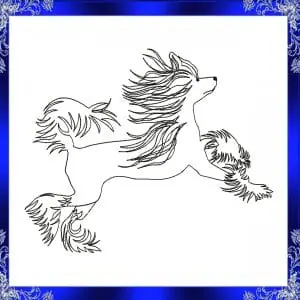 Chinese crested embroidery design Instant download
