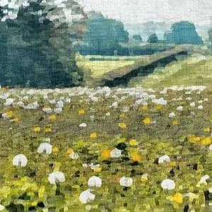 Painting - "Dandelions''