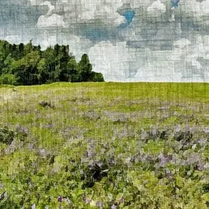 Painting - "Hill in flowers''