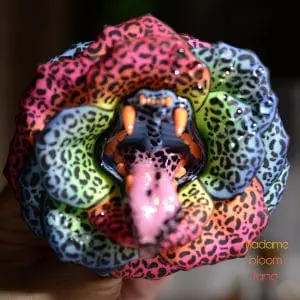 Blue and Orange Neon Leopard Brooch