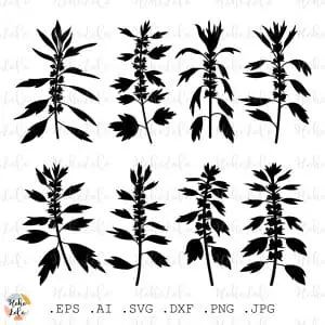 Motherwort Svg Cricut Silhouette Stencil Template Dxf