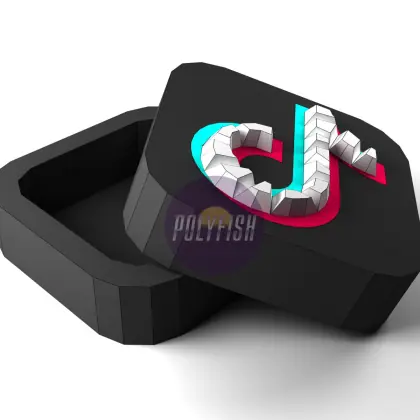 DIY TikTok Box template Papercraft PDF