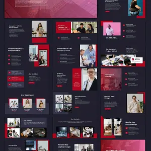 Elevate your Business with high quality canva presentation slides