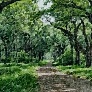 Painting – “Journey through the forest”