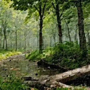 Painting - "Spring water''