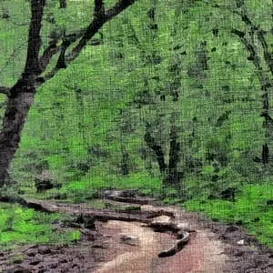 Painting - "The Silent Forest''
