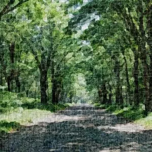 Painting - "Path of Reflection''