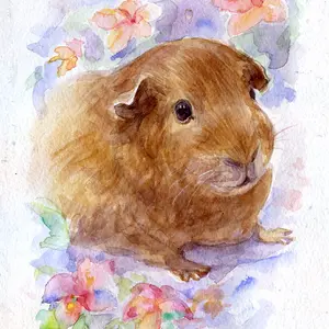 Set Of 3 Pet Portraits Watercolor Painting Commission