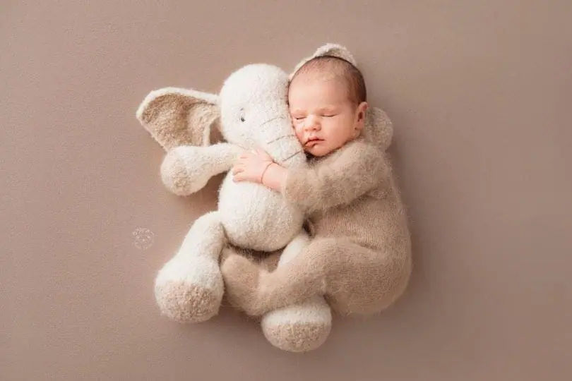 The sweetest Elephant, a posing toy, from boucle 1 The sweetest Elephant, a posing toy, from boucle