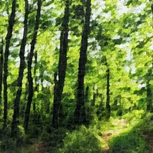 Painting - "Forgotten Path''