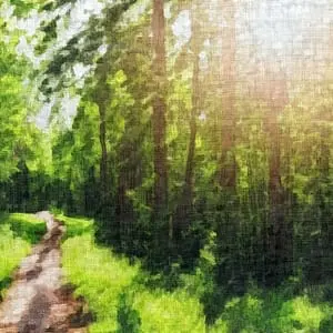 Painting - "Sunlit Forest Trail''