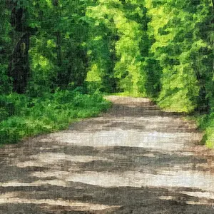 Painting - "The Old Forest Road''