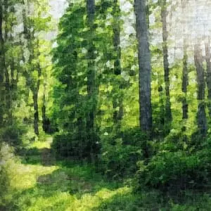 Painting - "The Secret Pathway''