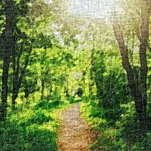 Painting - "Whispers of the Forest Path'' 1 Painting - "Whispers of the Forest Path''