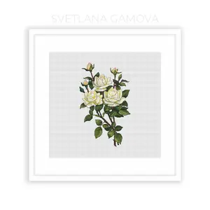White Roses Cross Stitch Pattern PDF