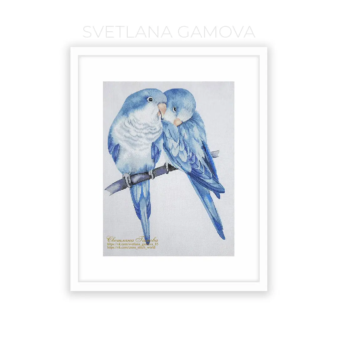 Blue quaker parrots Cross Stitch Pattern 1 Blue quaker parrots Cross Stitch Pattern