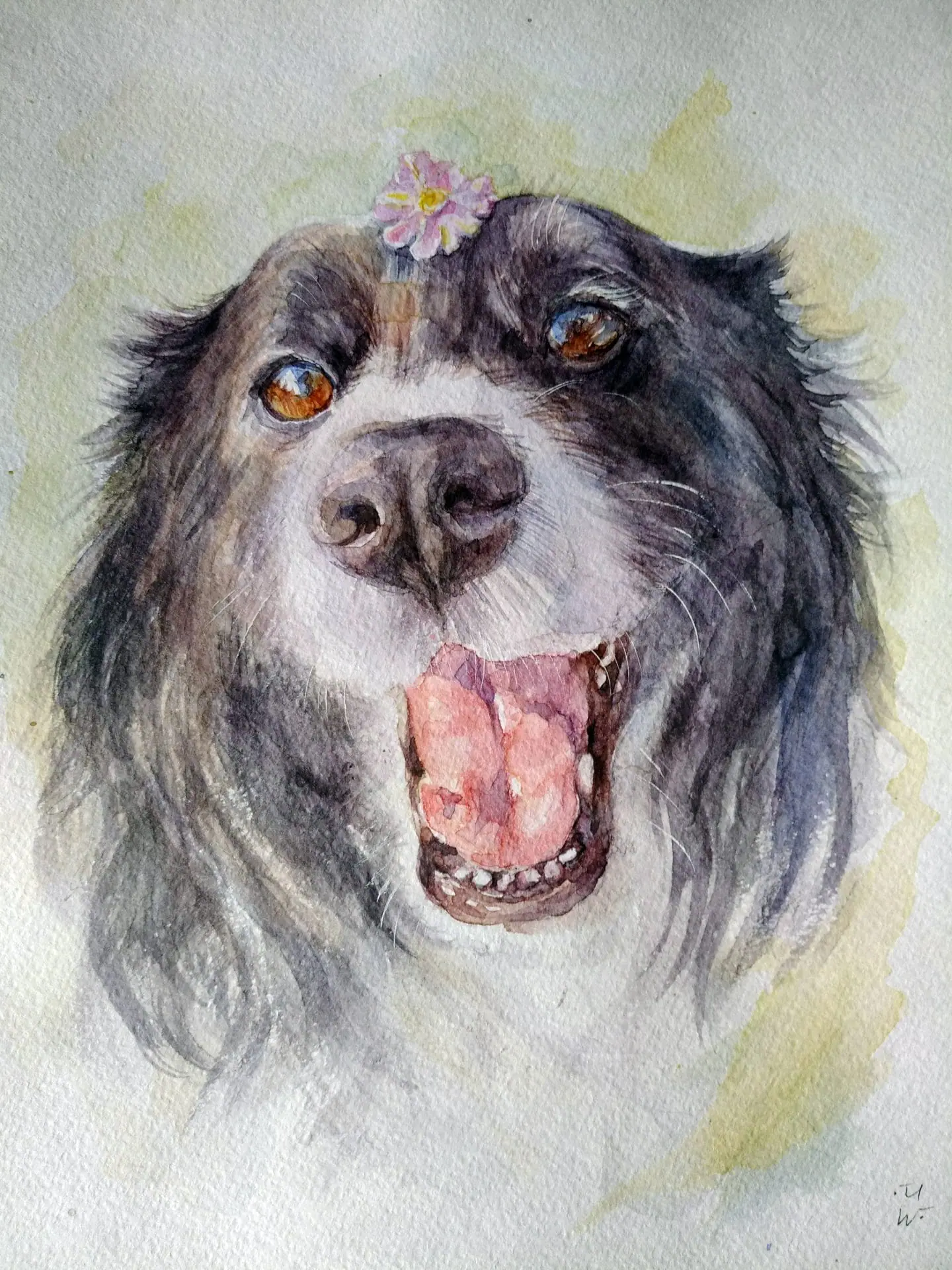 Set Of 2 Custom Pet Portraits Original Watercolor Painting set-of-2-custom-pet-portraits-original-watercolor-painting