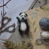 Little toy teddy bear panda handmade gift