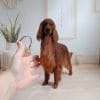 Realistic crochet Irish Setter miniature, handmade mahogany-red dog sculpture, silky ears, elegant posture, custom pet portrait from photos