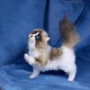 cute plush cat