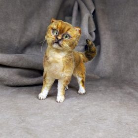 cat british