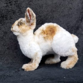 This bunny is a unique handmade doll. It is made of high quality faux fur. It looks very realistic and has a realistic size. body length from the crown of the head to the base of the tail 23 cm (9,06") The bunny is fully poseable thanks to a flexible plastic skeleton. He can turn and tilt his head. Can sit, lie, stand. The bunny's ears are reinforced with wire and can change their position and inclination. The baby is very cute and soft. Inside the body there is holofiber filling.