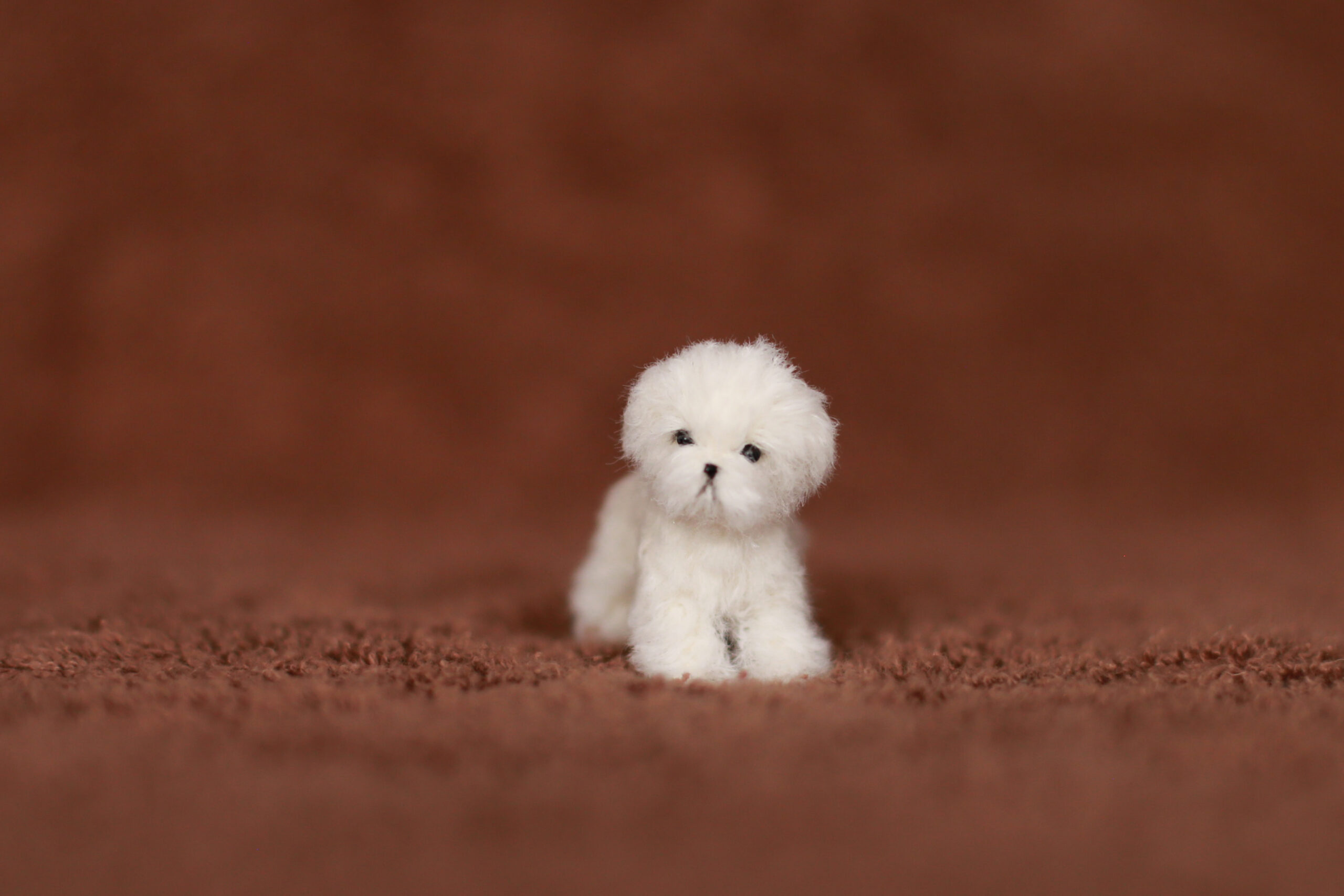 Tiny OOAK white Maltese puppy 1,45 inches