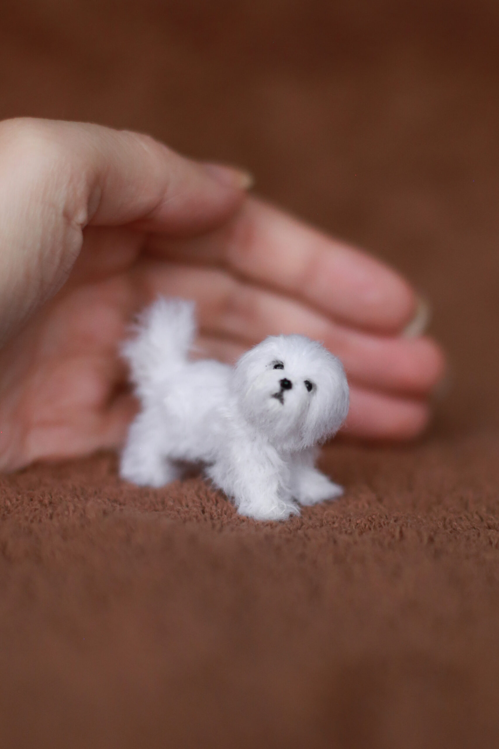 Cute Puppies Fluffy Tiny White Dog White Puffy Pomeranian Small