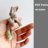 mister Rabbit