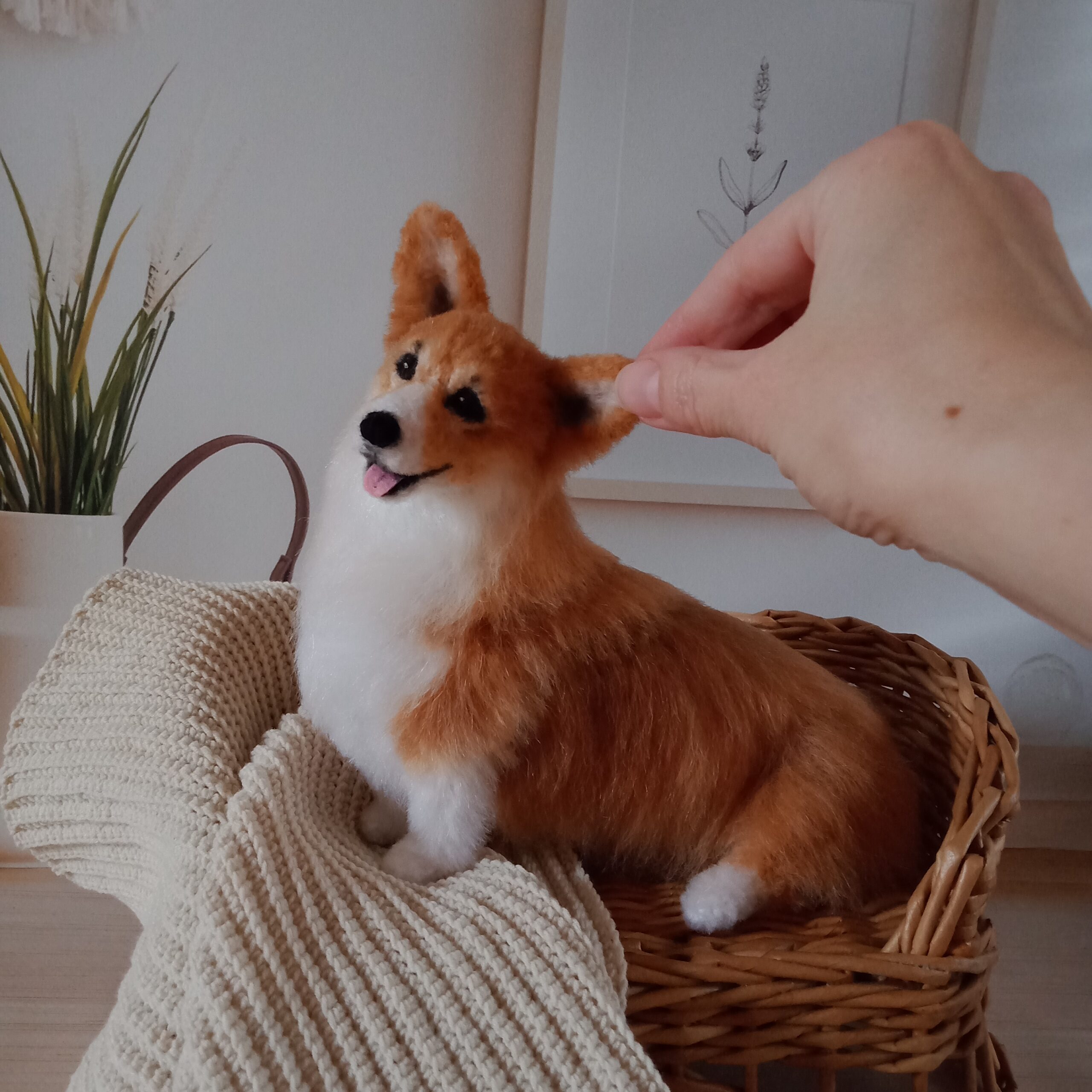 Corgi plush, felt toy All Three Corgis! - Handmade Corgis