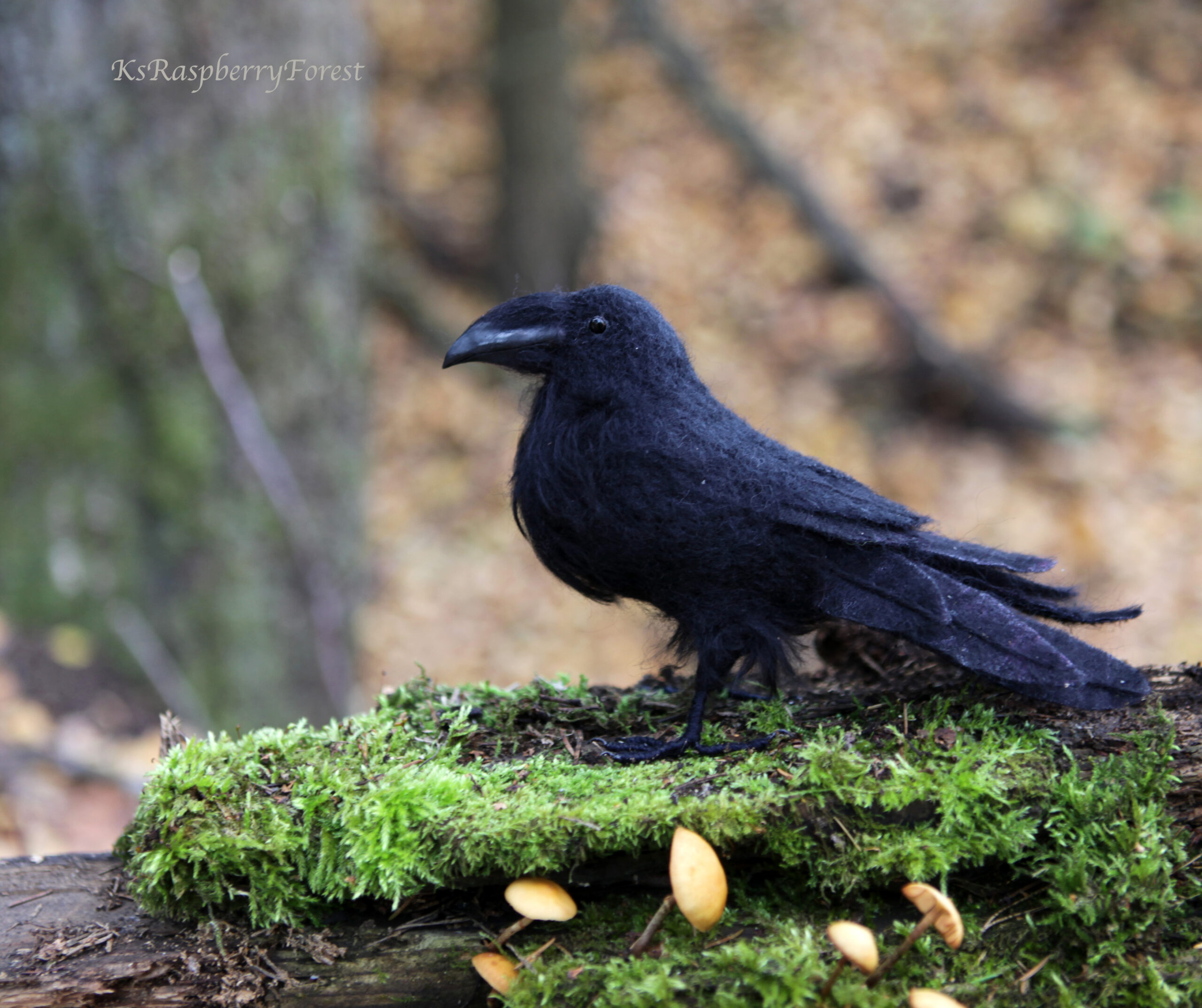 Needle felted bird Black Raven bird Gorgeous 1 New Handmade