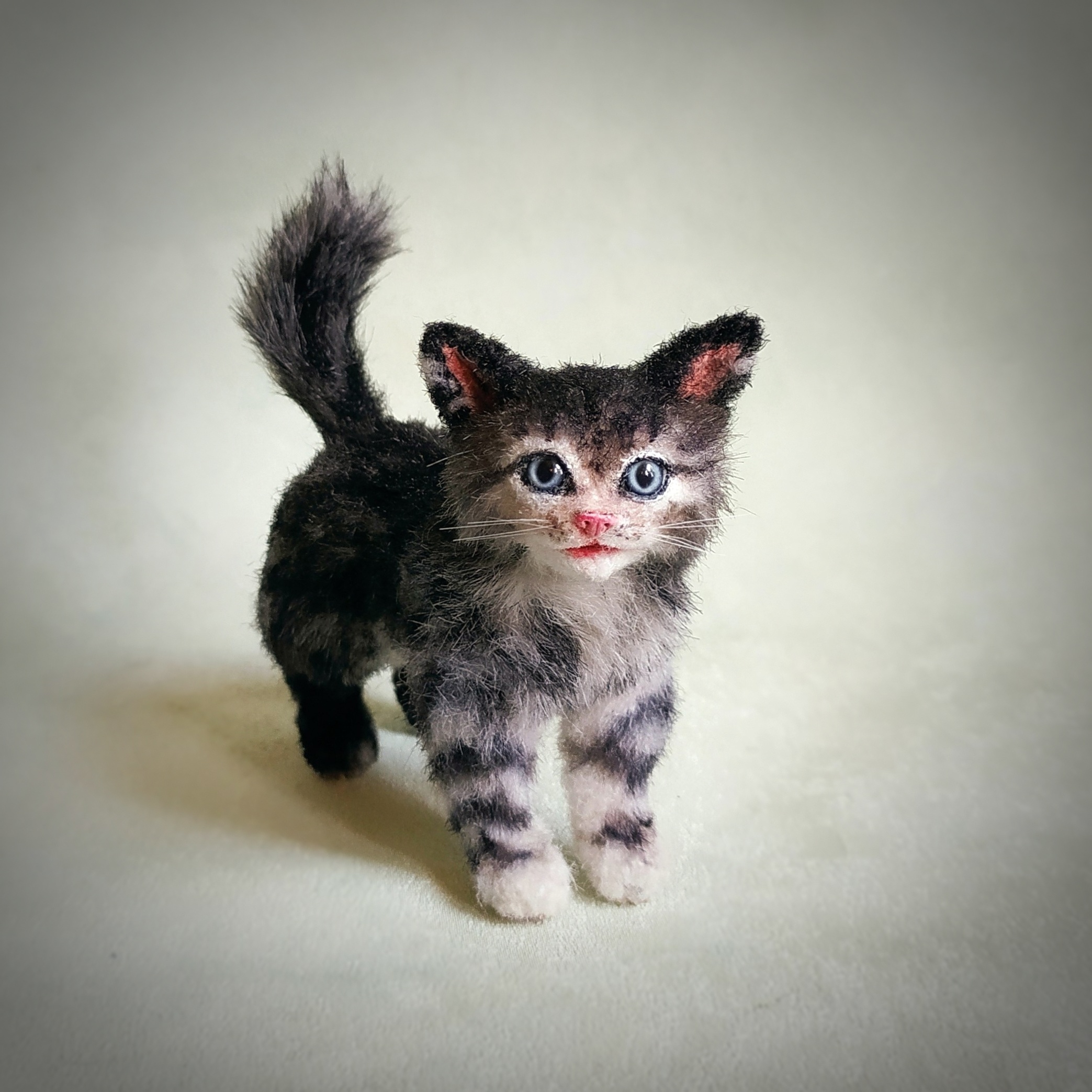 Full Grown Miniature Kittens