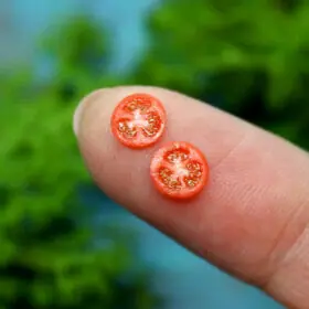 TUTORIAL Miniature polymer clay tomato cane | Miniature food tutorial | Dollhouse miniatures