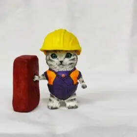 Builder baby cat