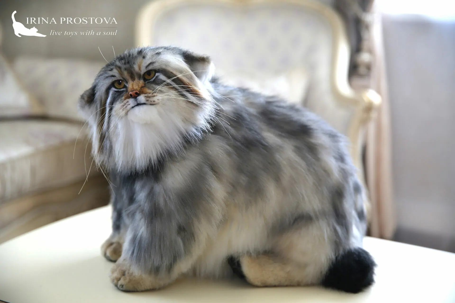 Pallas cat realistic toy. OOAK toy. Poseable toy. stuffed animals 2 1s5a9278 1.jpg