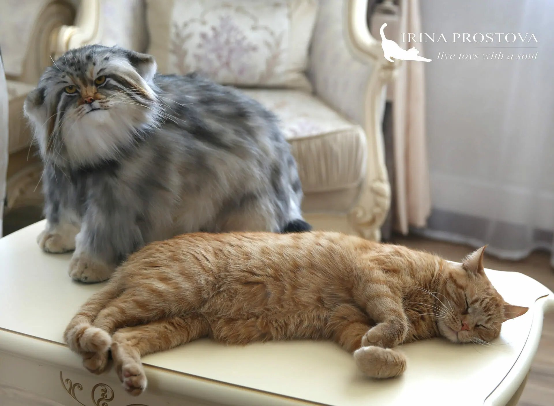 Pallas cat realistic toy. OOAK toy. Poseable toy. stuffed animals 6 1s5a9288.jpg