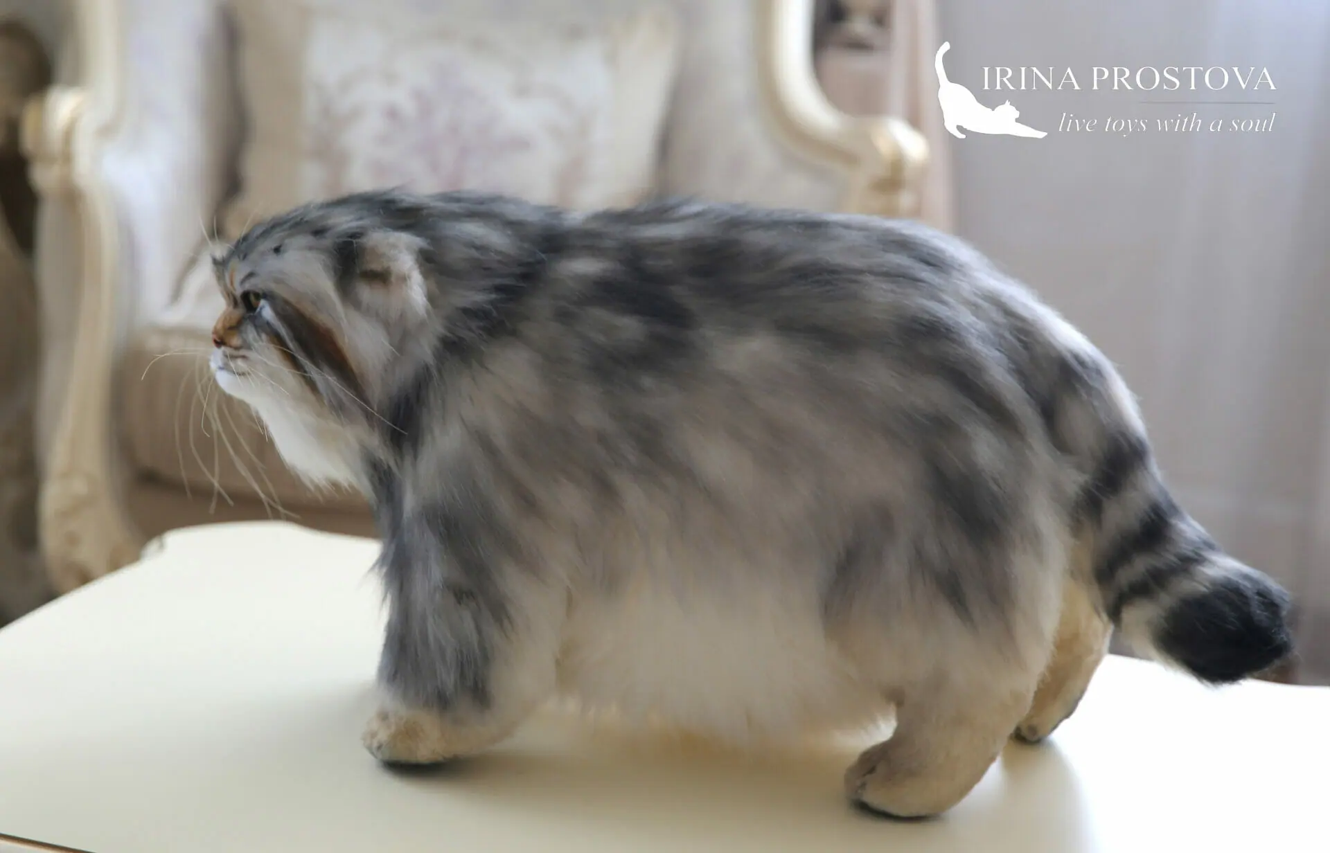 Pallas cat realistic toy. OOAK toy. Poseable toy. stuffed animals 4 1s5a9354 1.jpg