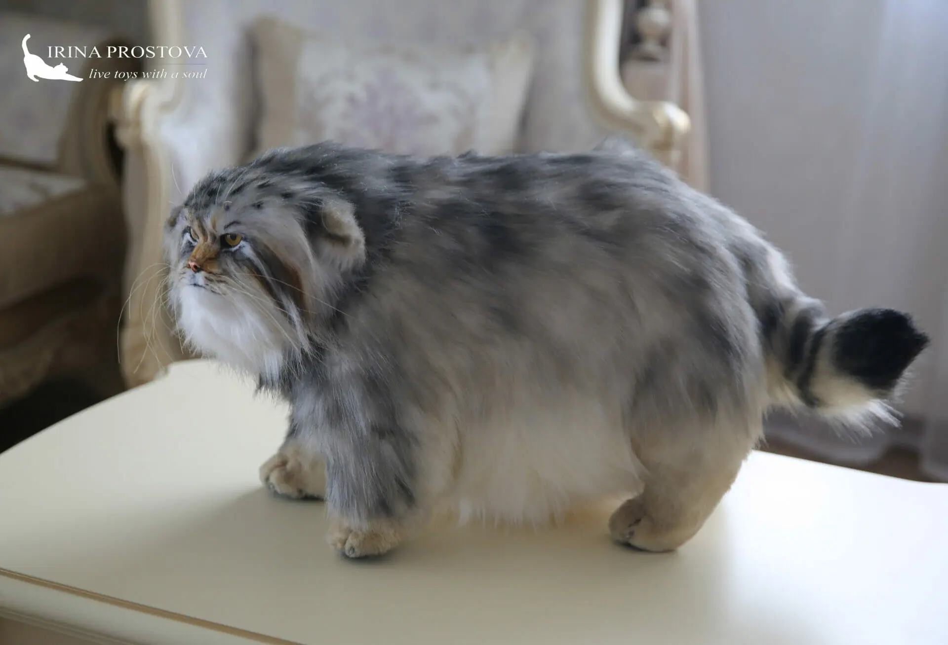 Pallas cat realistic toy. OOAK toy. Poseable toy. stuffed animals 10 1s5a9358 1.jpg