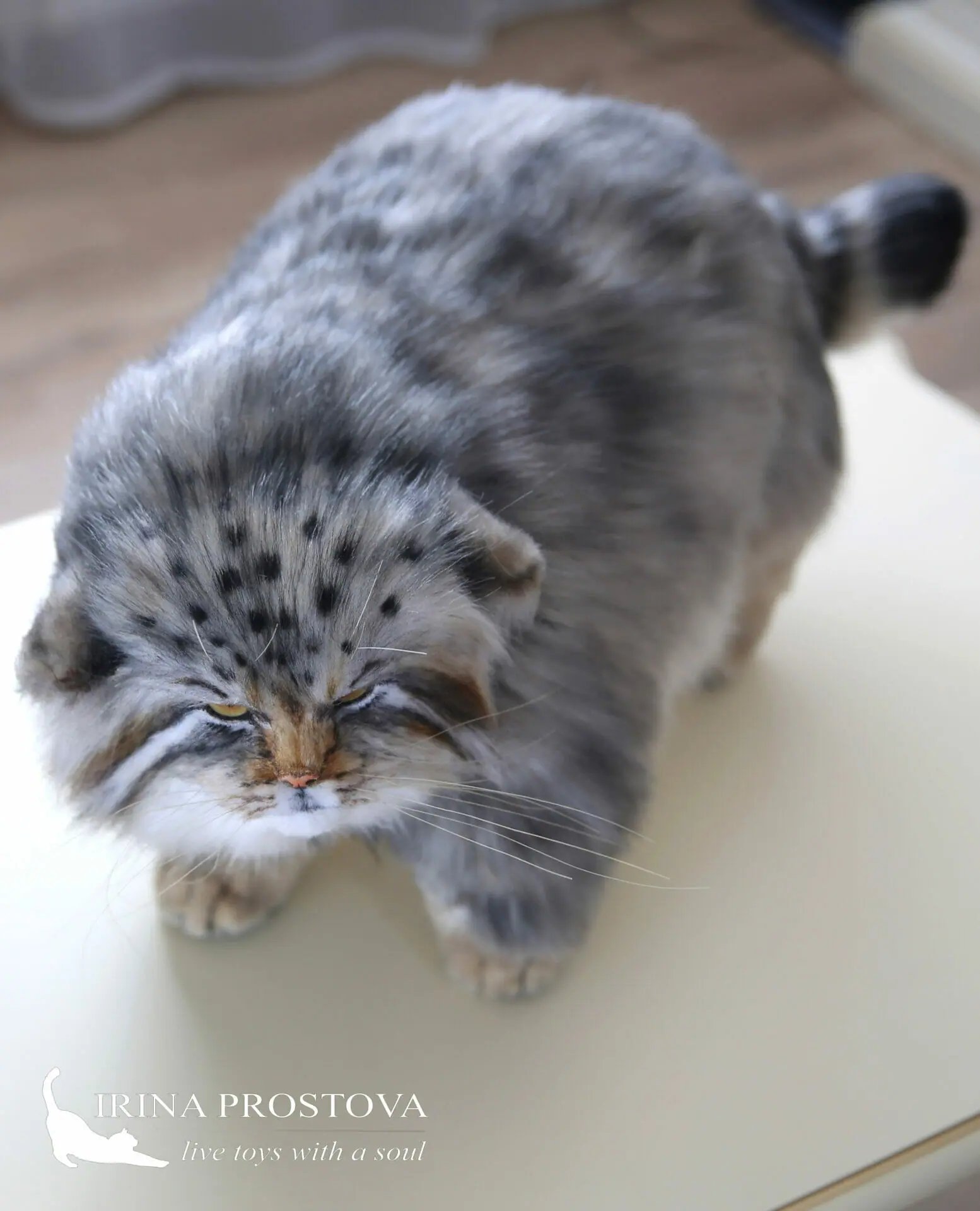 Pallas cat realistic toy. OOAK toy. Poseable toy. stuffed animals 11 1s5a9364 1.jpg