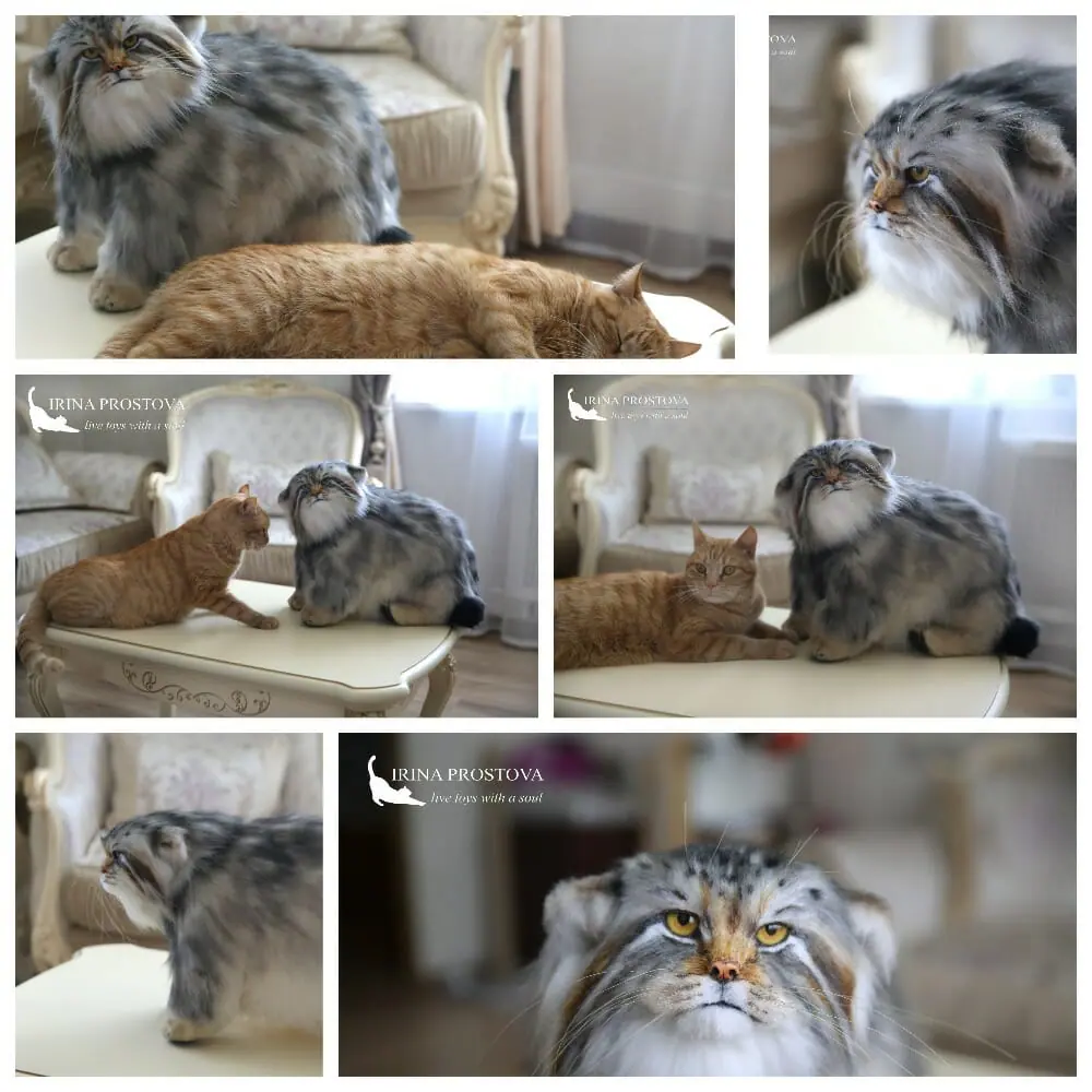 Pallas cat realistic toy. OOAK toy. Poseable toy. stuffed animals 12 mycollages.jpg