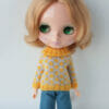 PDF pattern sweater for Blythe Lemons