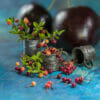 TUTORIAL Miniature cherries with branch