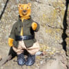 teddy bear