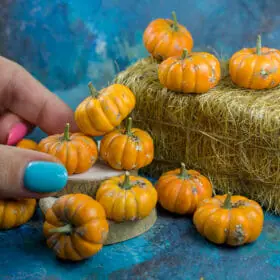 Tutorial miniature dirty pumpkins with polymer clay