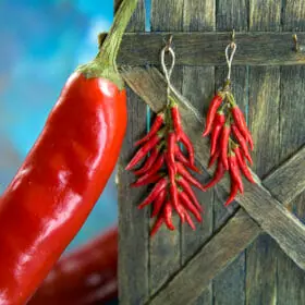 TUTORIAL miniature chili pepper with polymer clay