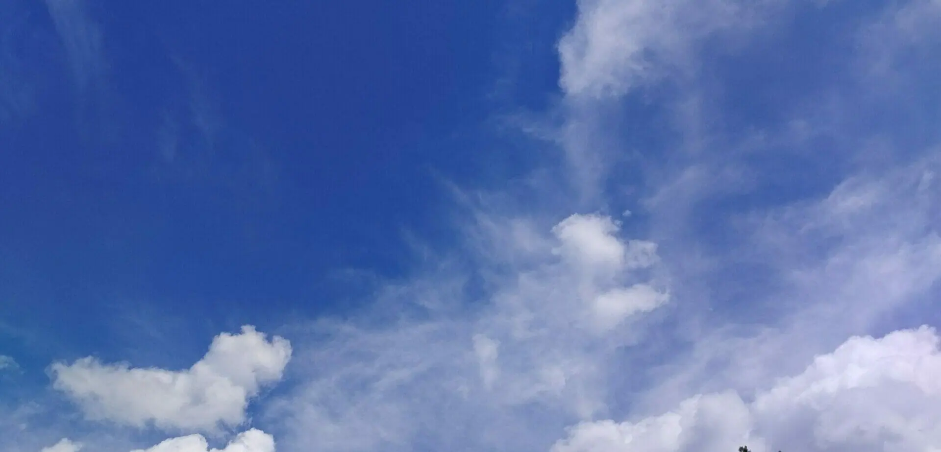 cropped img 20230727 134100.jpg