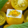 TUTORIAL Miniature yellow tomato cane with polymer clay