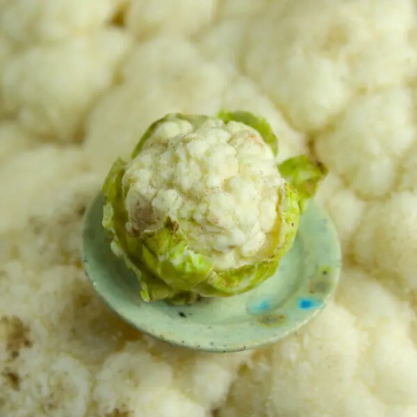TUTORIAL Miniature cauliflower with polymer clay