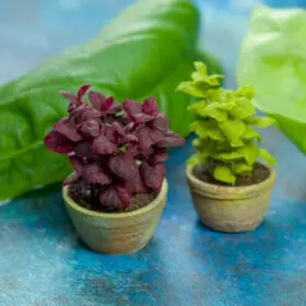 TUTORIAL Miniature basil plant with air dry clay